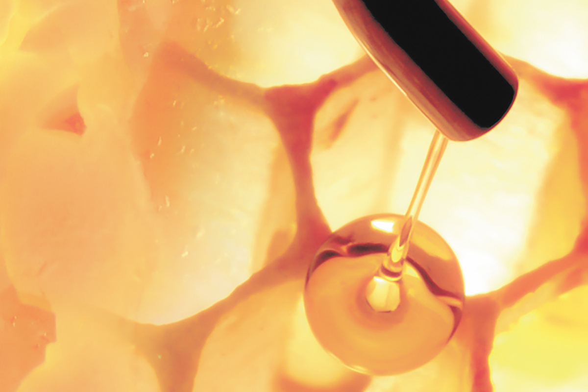 H. Sigrist & Partner AG Corporate Design